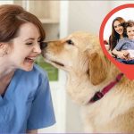 Bonus veterinario alle famiglie in difficoltà