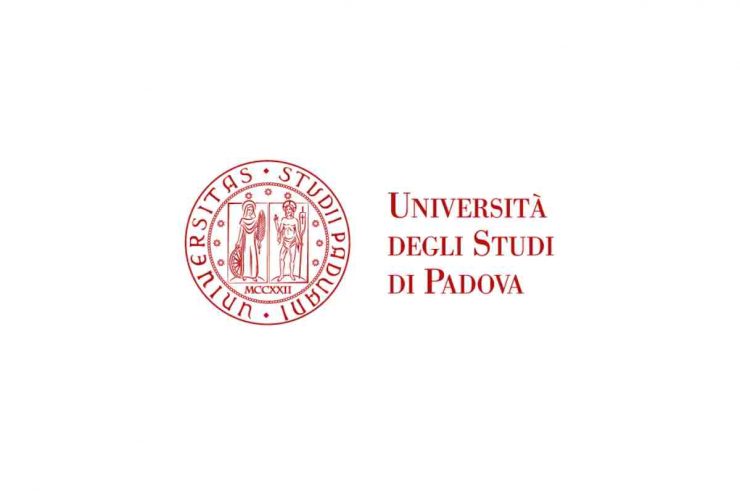 L'Università di Padova cerca nuovi 15 dipendenti da introdurre dell'area amministrativa