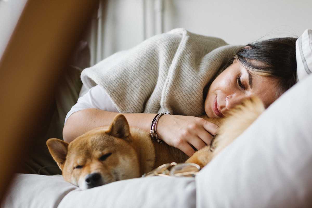 Dormire con gli animali non fa bene