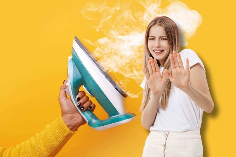 SteamOne - Vaporizzatore Portatile Per Stirare, Ultra Compatto, 1600W, Niente Asse Da Stiro - Ideale Per Viaggi