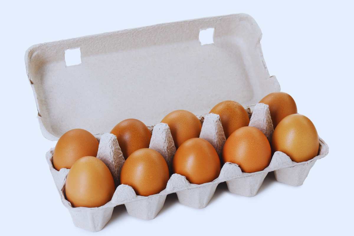 pacchetto di uova